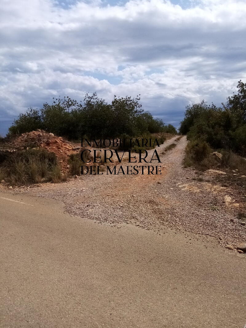 Landsted til salg i Vinaròs, Castellón