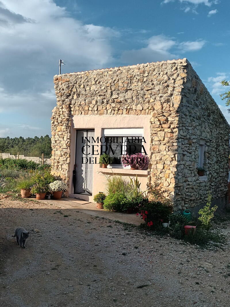 Landsted til salg i Cervera del Maestre, Castellón