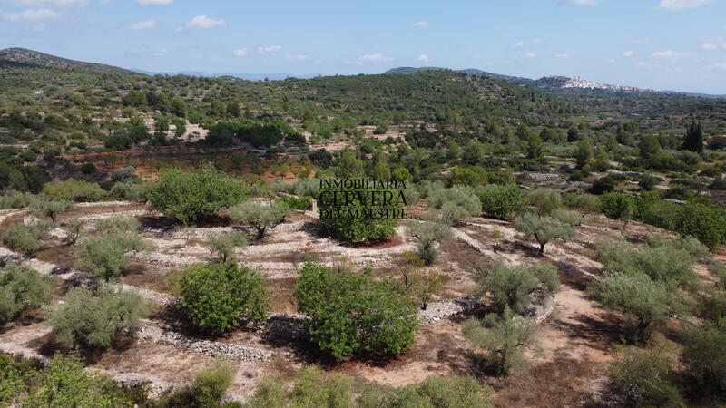 Terrain à vendre