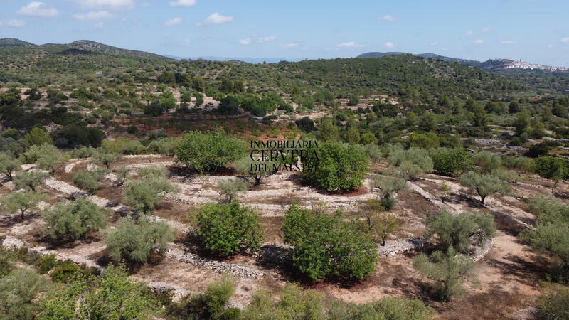 Terrain à vendre