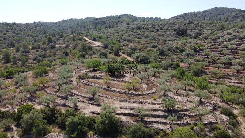 Terrain à vendre