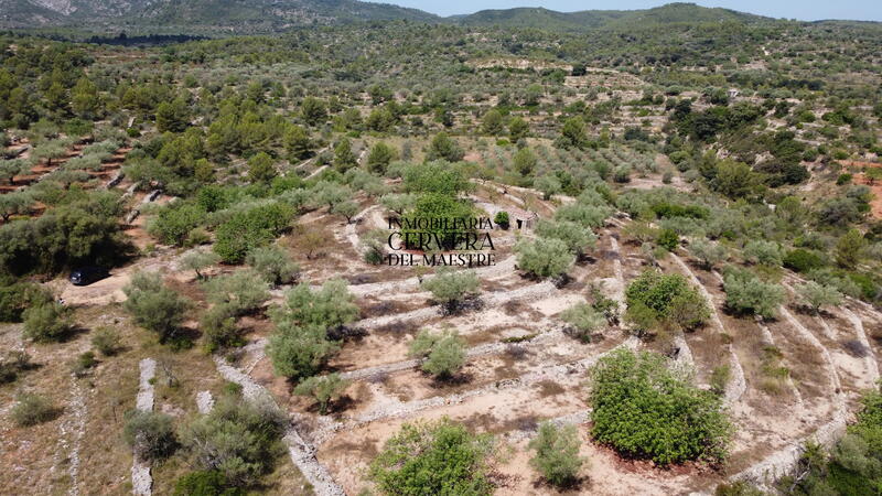 Terrain à vendre