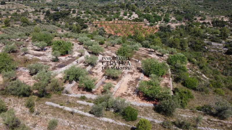 Terrain à vendre