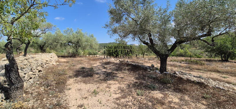 Terrain à vendre