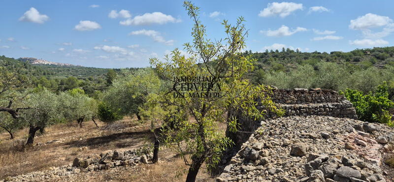 Terrain à vendre