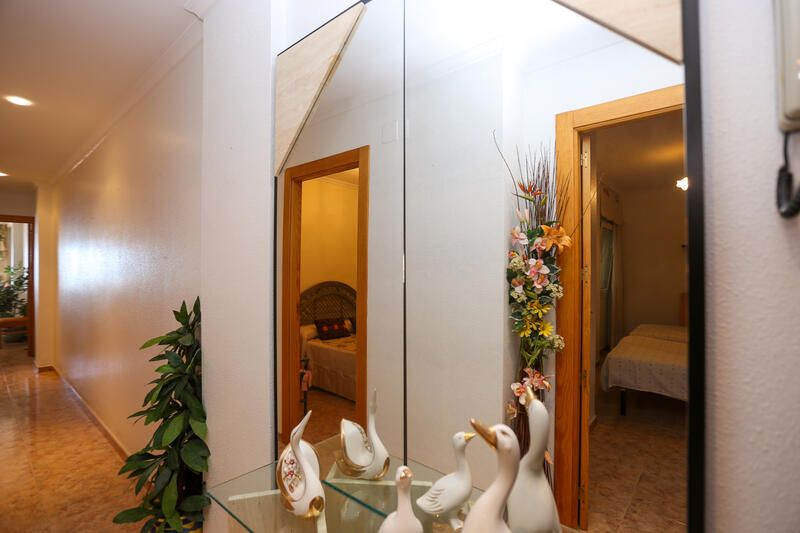 3 chambre Appartement à vendre