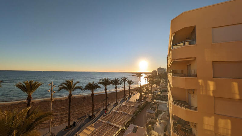 Appartement zu verkaufen in Torrevieja, Alicante