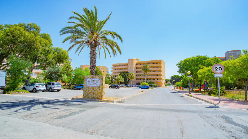 Appartement à vendre dans Guardamar del Segura, Alicante