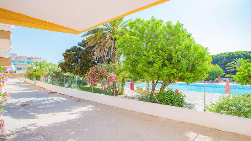 3 Cuarto Apartamento en venta