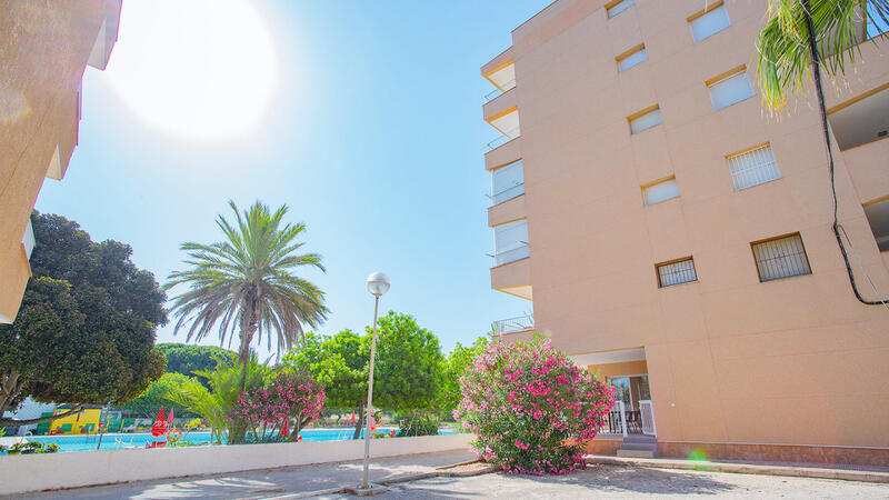 3 Cuarto Apartamento en venta