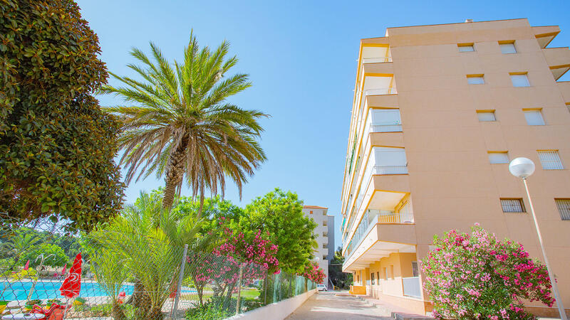 3 Cuarto Apartamento en venta
