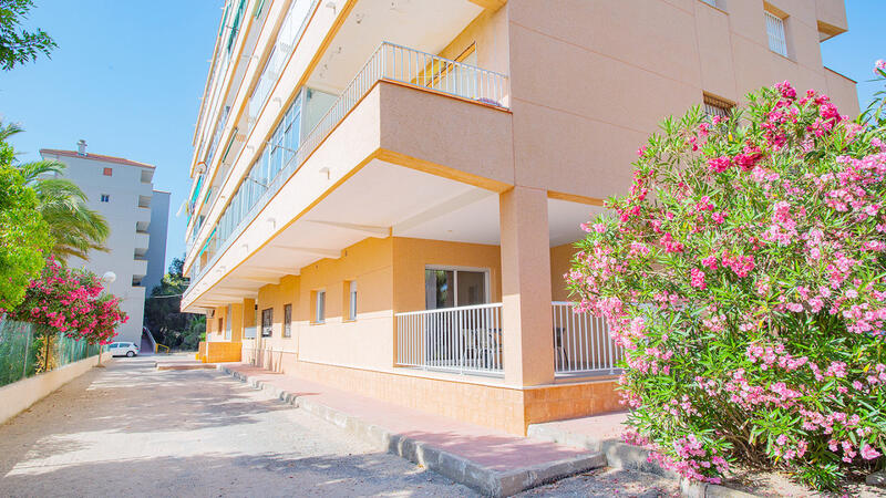 3 Cuarto Apartamento en venta