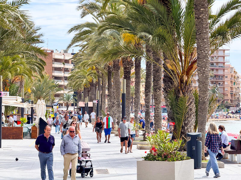 Lejlighed til salg i Torrevieja, Alicante