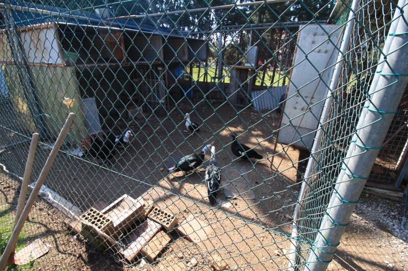 2 bedroom Villa for sale 2 bedroom Villa for sale