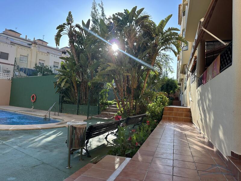 3 Cuarto Apartamento en venta