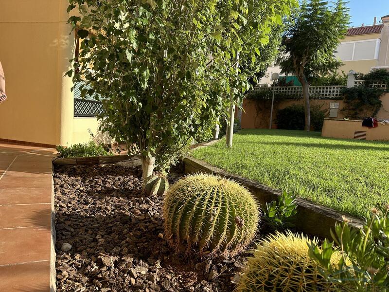 3 Cuarto Apartamento en venta