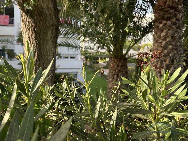 3 bedroom Apartment for Long Term Rent