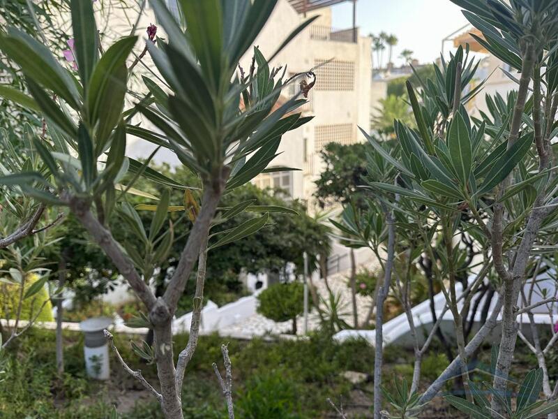 3 bedroom Apartment for Long Term Rent