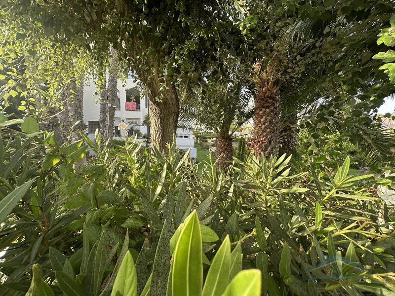 3 bedroom Apartment for Long Term Rent
