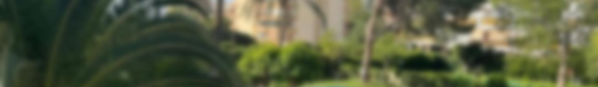 1 chambre Appartement à louer à long terme