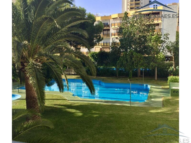 1 chambre Appartement à louer à long terme