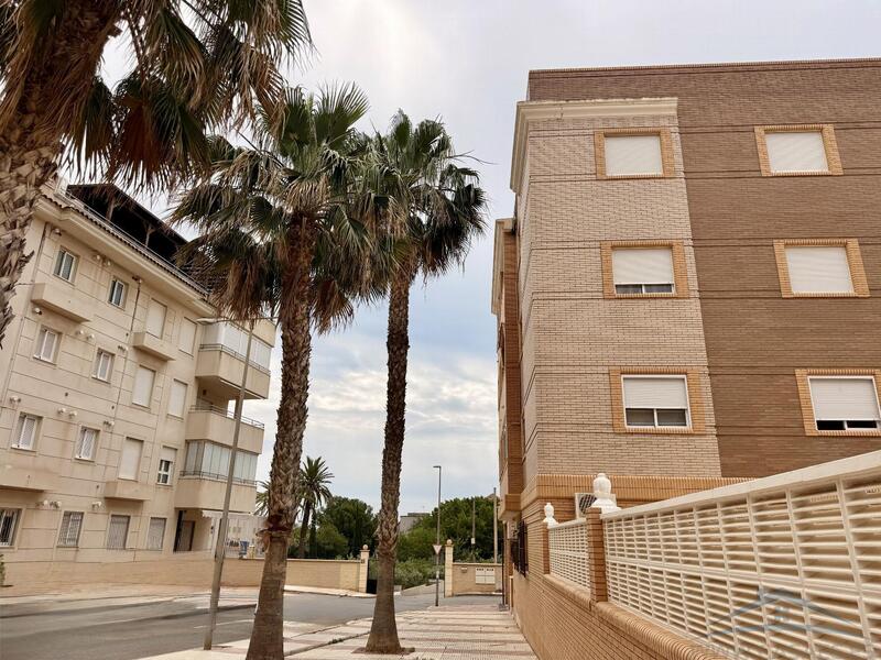 2 Cuarto Apartamento para alquiler a largo plazo 2 Cuarto Apartamento para alquiler a largo plazo