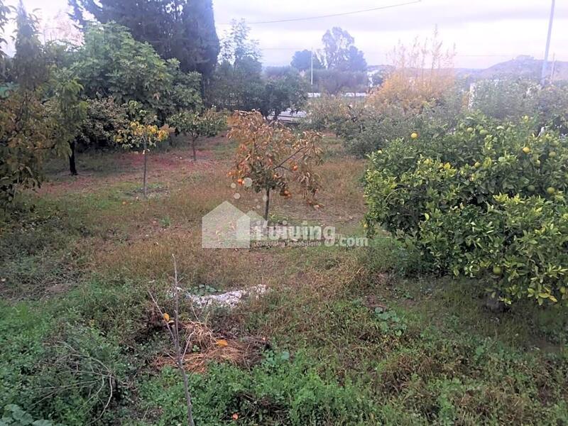 5 Cuarto Casa de Campo en venta