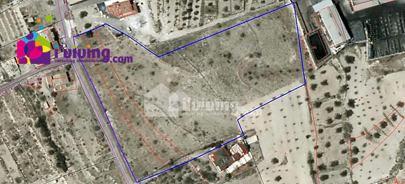 Land for sale