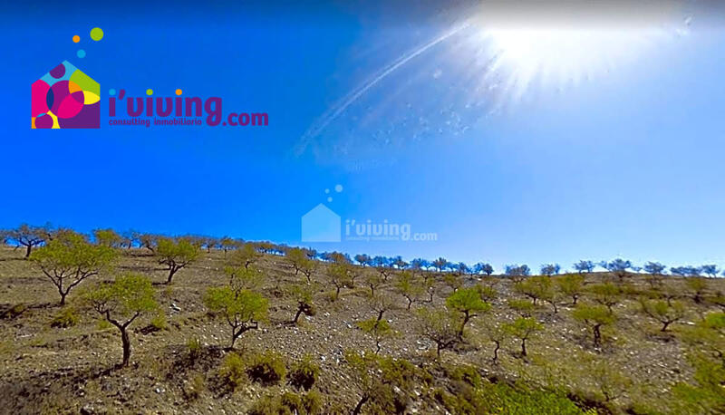 Country House for sale in Huercal-Overa, Almería