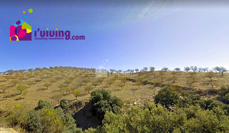 1 bedroom Country House for sale