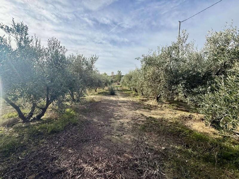 3 bedroom Country House for sale