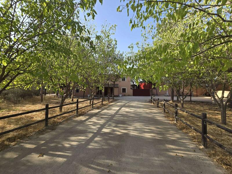 Country House for sale in Fuente Alamo, Jaén Country House for sale in Fuente Alamo, Jaén