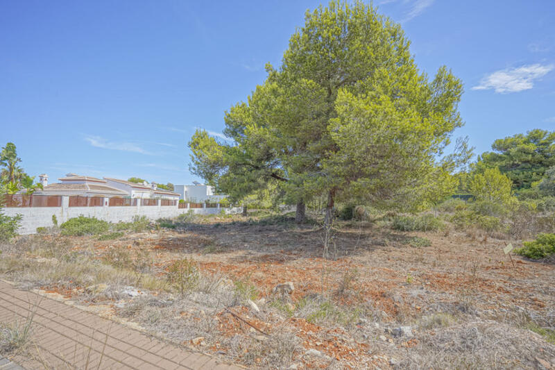 Terrenos en venta en Javea, Alicante