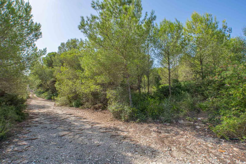 Land til salgs i Javea, Alicante