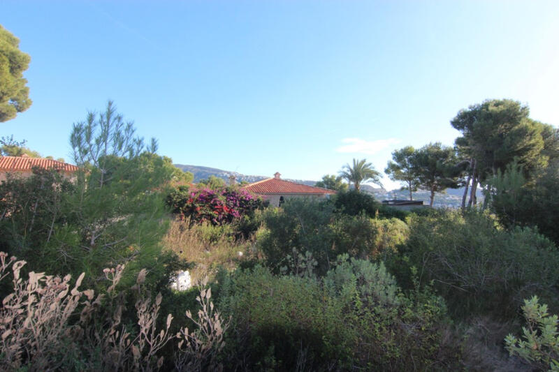 Terrenos en venta