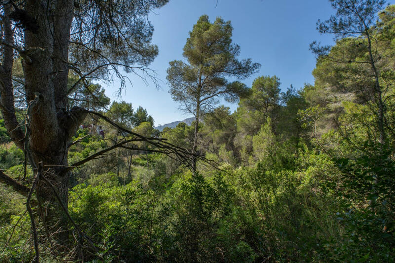 Land for sale in Javea, Alicante