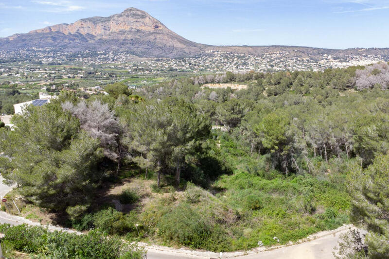 Land for sale