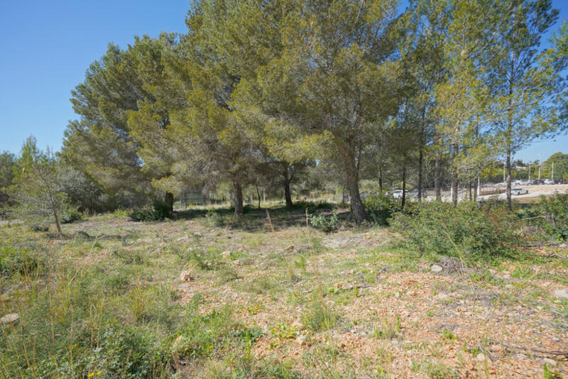 Land for sale in Javea, Alicante