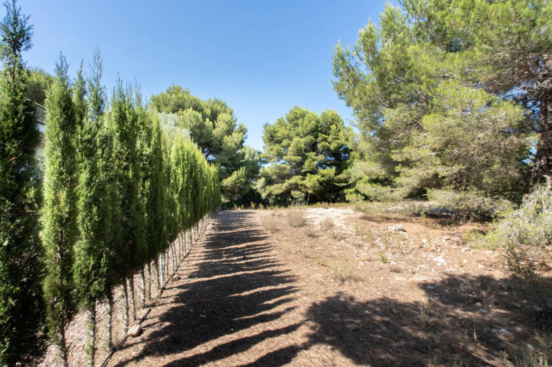 Land for sale in Javea, Alicante