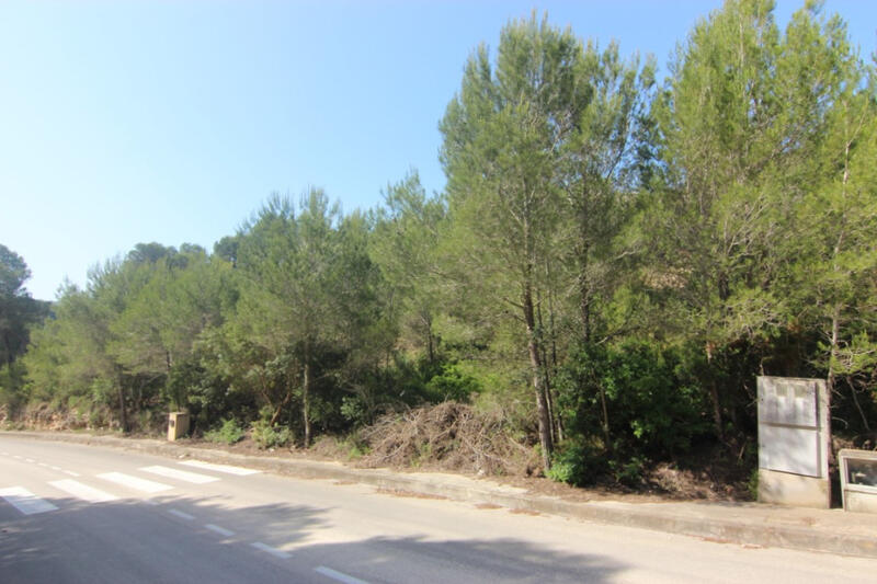 Land for sale