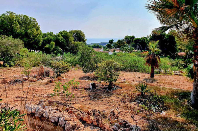 Terrenos en venta