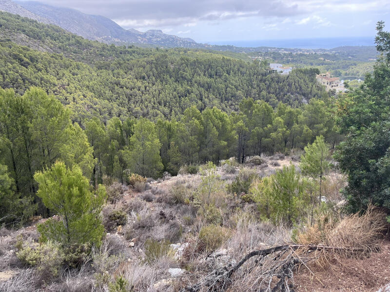 Terrenos en venta