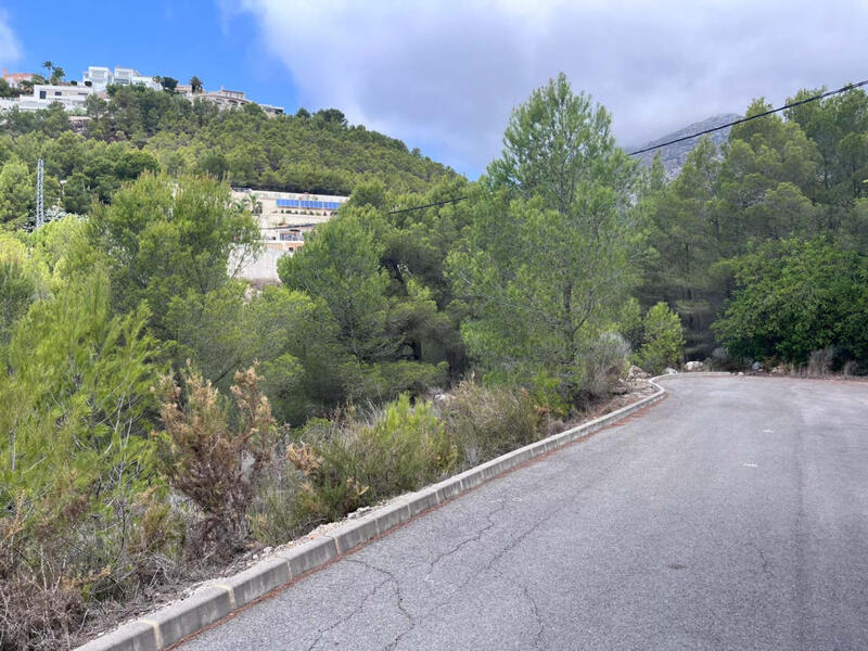 Terrenos en venta