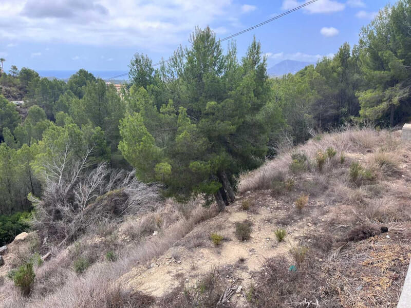 Terrenos en venta