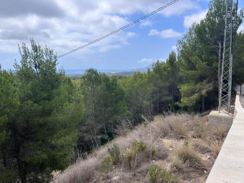 Terrenos en venta