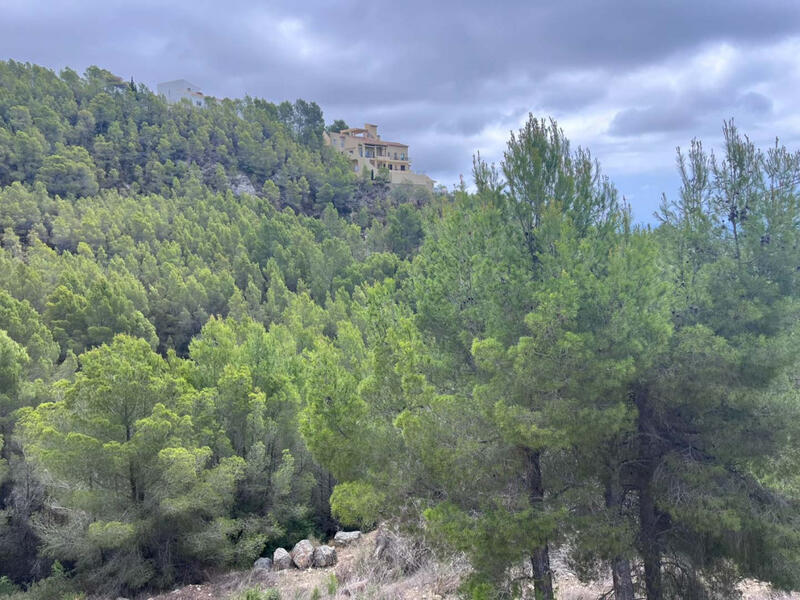 Terrenos en venta