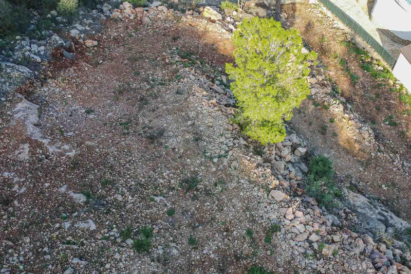 Terrenos en venta