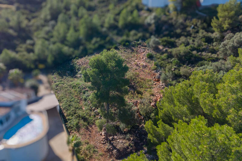 земля продается