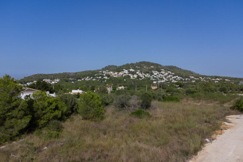 Land for sale