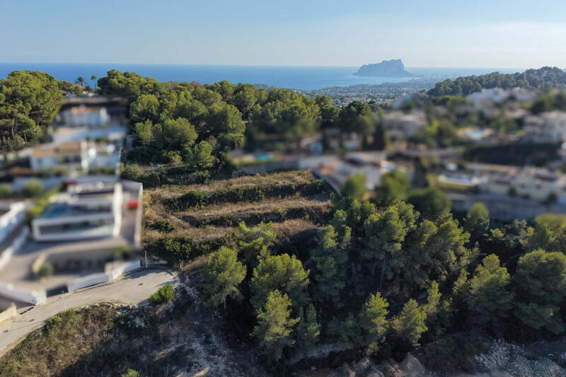 Land for sale